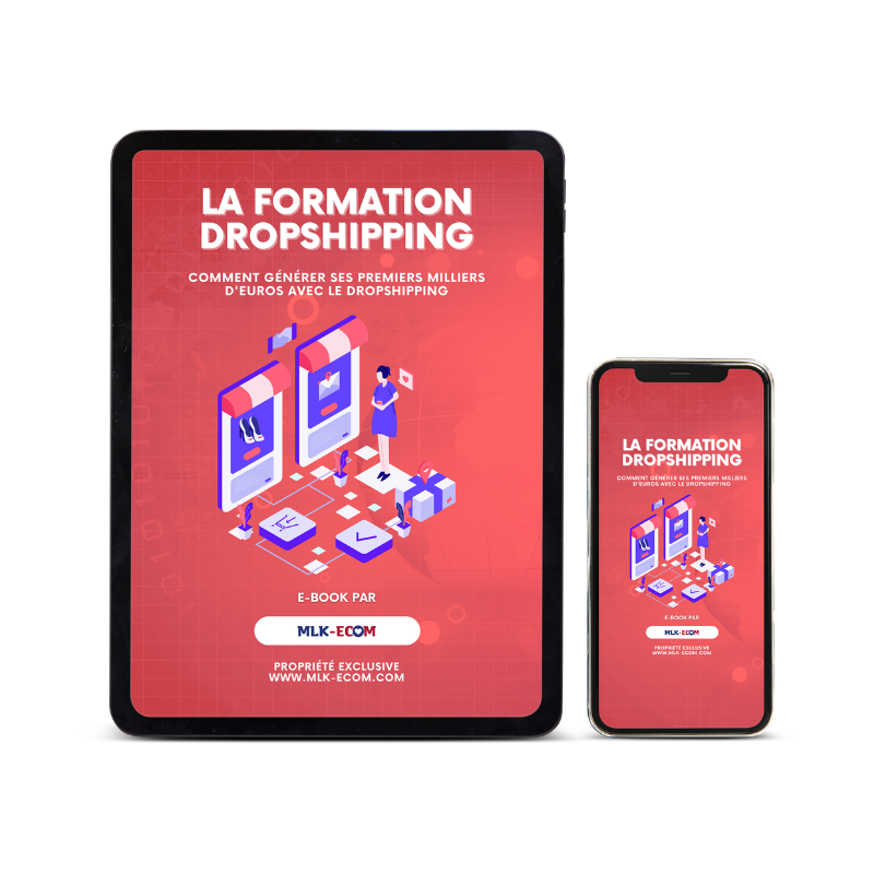 La formation complète en Dropshipping